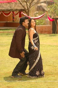 Rajasekhar, Bhumika