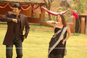 Rajasekhar, Bhumika