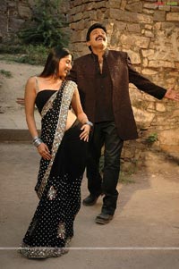 Rajasekhar, Bhumika