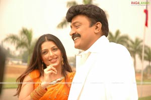 Rajasekhar, Bhumika