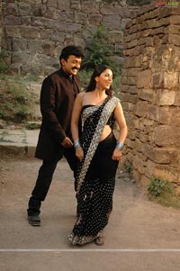 Rajasekhar, Bhumika