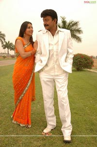 Rajasekhar, Bhumika