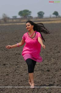 Taneesh, Naani, Swetha Basu Prasad, Aksha