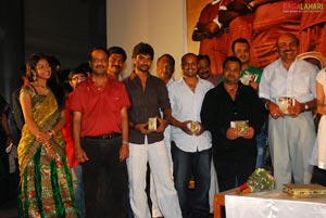 Bheemili Audio Release