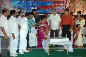 Chetilo Cheyyesi Audio Release