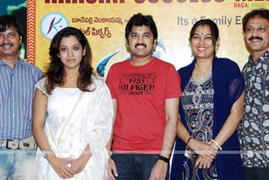 Haasini Success Meet