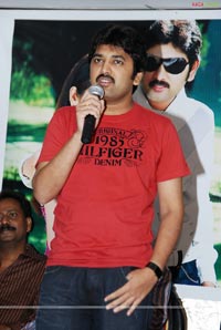 Haasini Success Meet