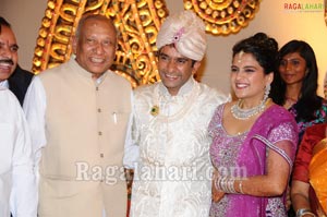 Raghuveera Reddy Brother's Son Mohan-Priyanka Wedding Reception