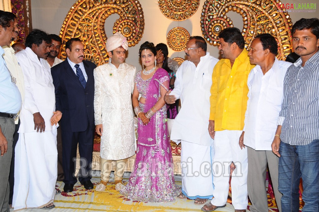 Minister Raghuveera Reddy Brother's Son Reception