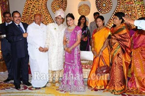 Raghuveera Reddy Brother's Son Mohan-Priyanka Wedding Reception