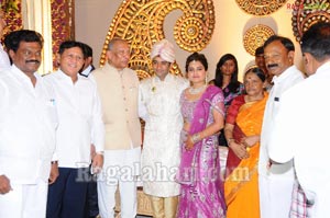 Raghuveera Reddy Brother's Son Mohan-Priyanka Wedding Reception