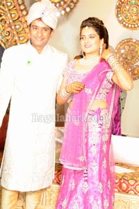 Raghuveera Reddy Brother's Son Mohan-Priyanka Wedding Reception