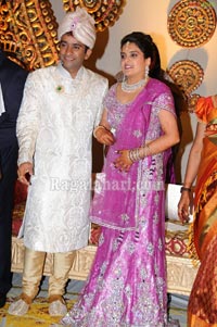 Raghuveera Reddy Brother's Son Mohan-Priyanka Wedding Reception