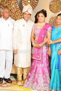 Raghuveera Reddy Brother's Son Mohan-Priyanka Wedding Reception