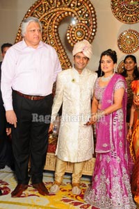 Raghuveera Reddy Brother's Son Mohan-Priyanka Wedding Reception