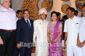 Raghuveera Reddy Brother's Son Mohan-Priyanka Wedding Reception