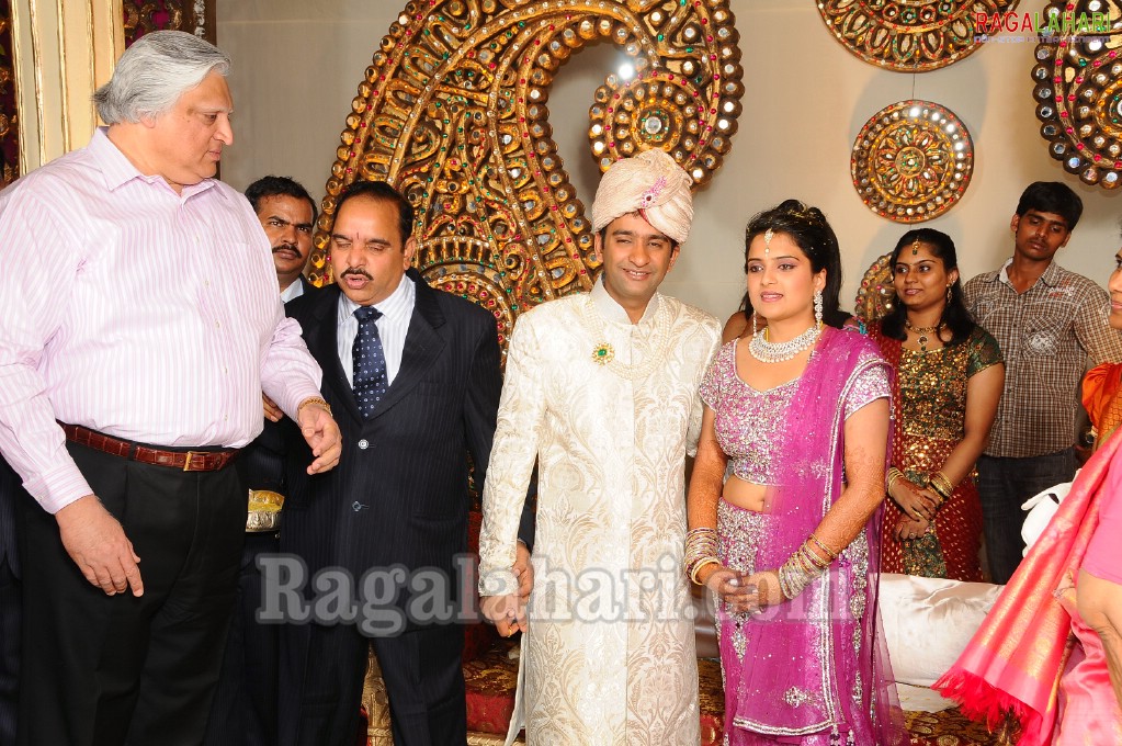 Minister Raghuveera Reddy Brother's Son Reception