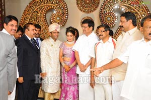 Raghuveera Reddy Brother's Son Mohan-Priyanka Wedding Reception