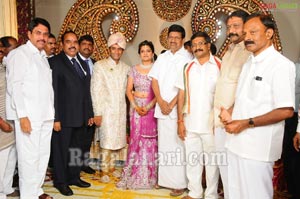 Raghuveera Reddy Brother's Son Mohan-Priyanka Wedding Reception