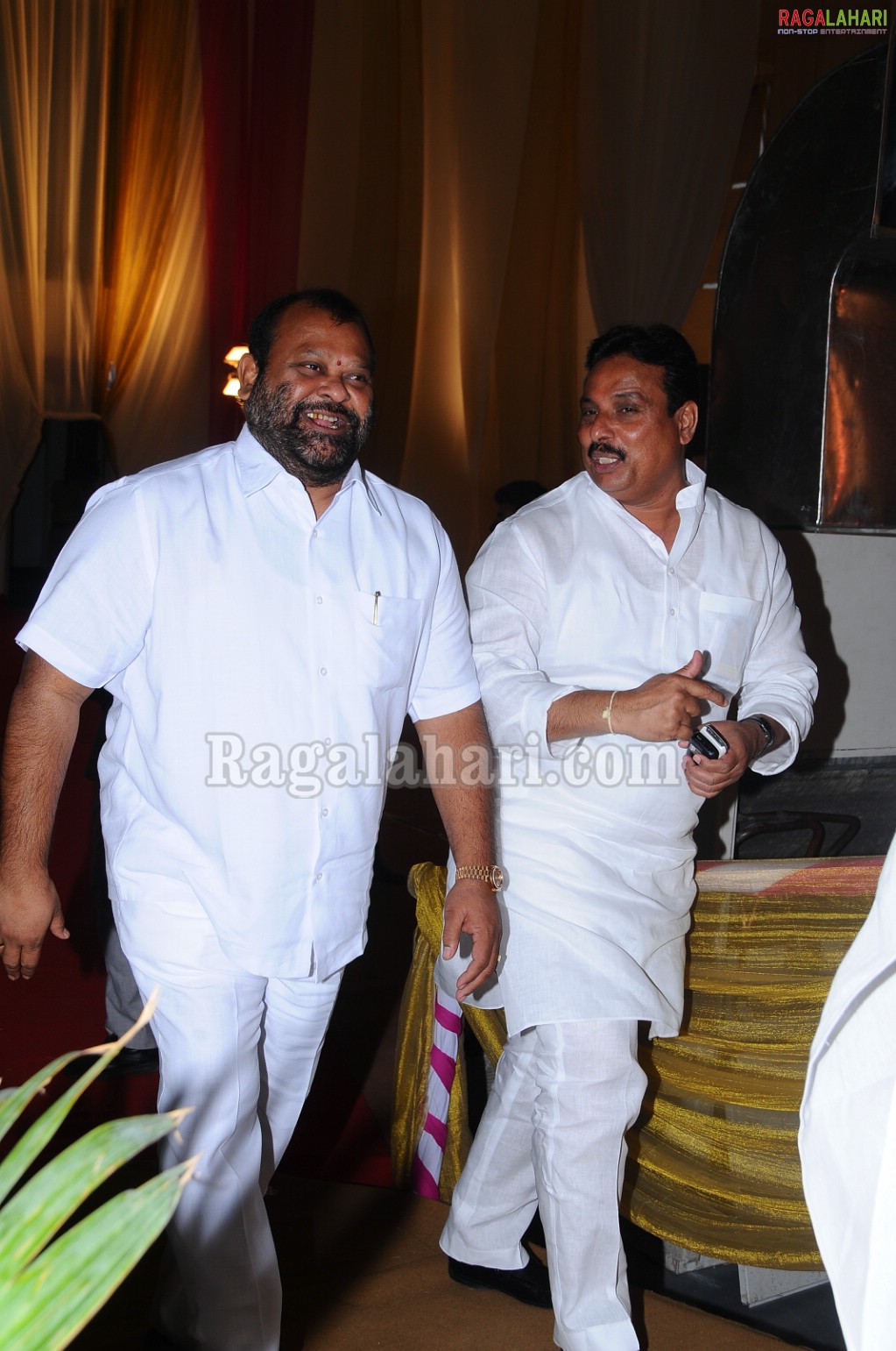 Minister Raghuveera Reddy Brother's Son Reception