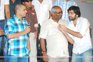 Rama Rama Krishna Krishna Success Meet