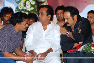 Simha Success Meet