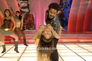 NTR, Nayanatara, Sheela