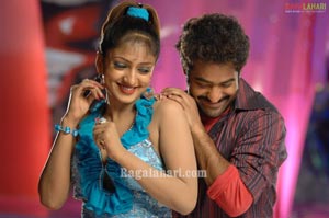 NTR, Nayanatara, Sheela