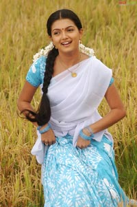 Nani, Saranya Mohan