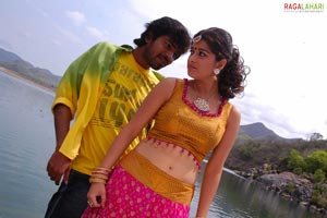 Allari Naresh, Madhurima, Srinivas Avasarala