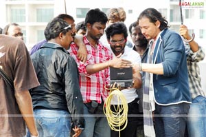 Golimaar Working Stills