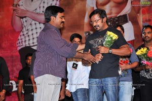 Badrinath Audio Release