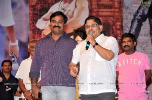 Badrinath Audio Release