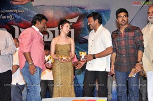 Badrinath Audio Release