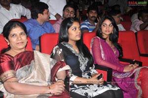 Badrinath Audio Release