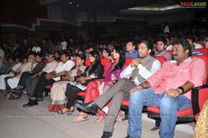 Badrinath Audio Release