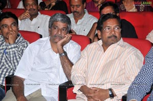 Badrinath Audio Release