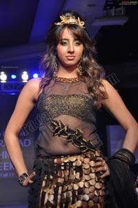 Hyderabad Fashion Week Pre-Fall - 2011 Day 2