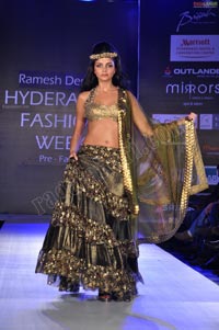 Hyderabad Fashion Week Pre-Fall - 2011 Day 2