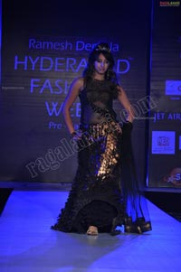 Hyderabad Fashion Week Pre-Fall - 2011 Day 2