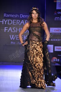 Hyderabad Fashion Week Pre-Fall - 2011 Day 2