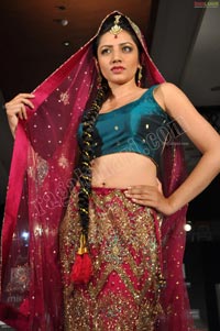 Hyderabad Fashion Week Pre-Fall - 2011 - Day 3