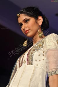 Hyderabad Fashion Week Pre-Fall - 2011 - Day 3