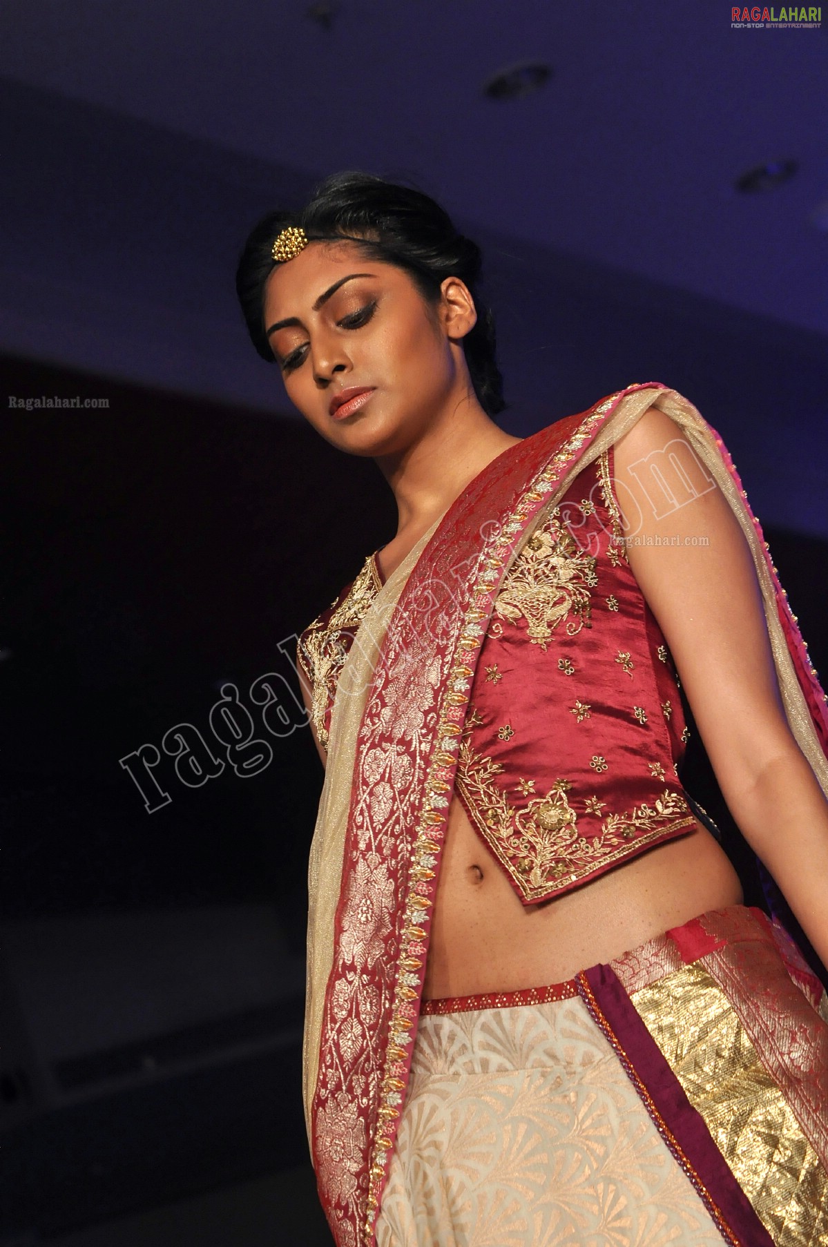 Hyderabad Fashion Week Pre - Fall' 2011 (Day 3)