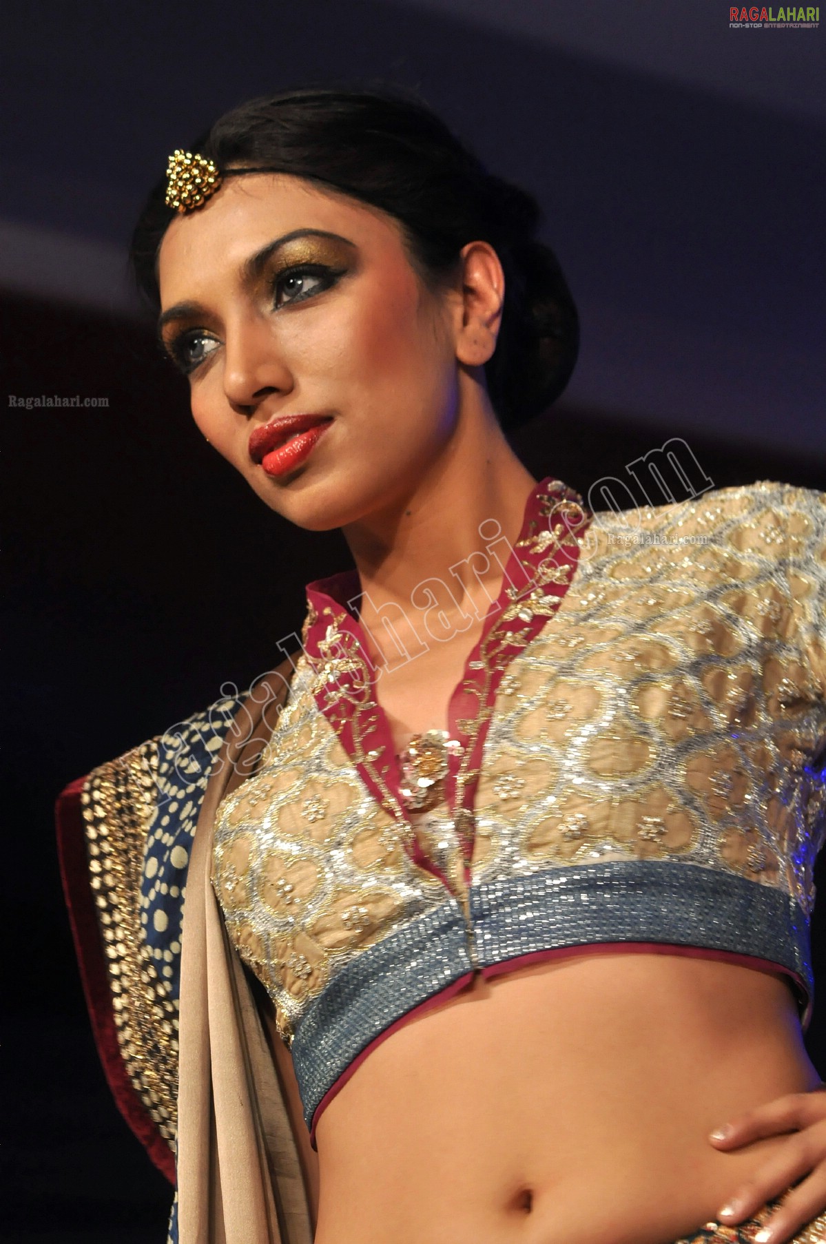 Hyderabad Fashion Week Pre - Fall' 2011 (Day 3)