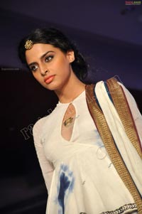 Hyderabad Fashion Week Pre-Fall - 2011 - Day 3