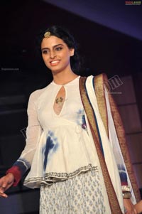 Hyderabad Fashion Week Pre-Fall - 2011 - Day 3