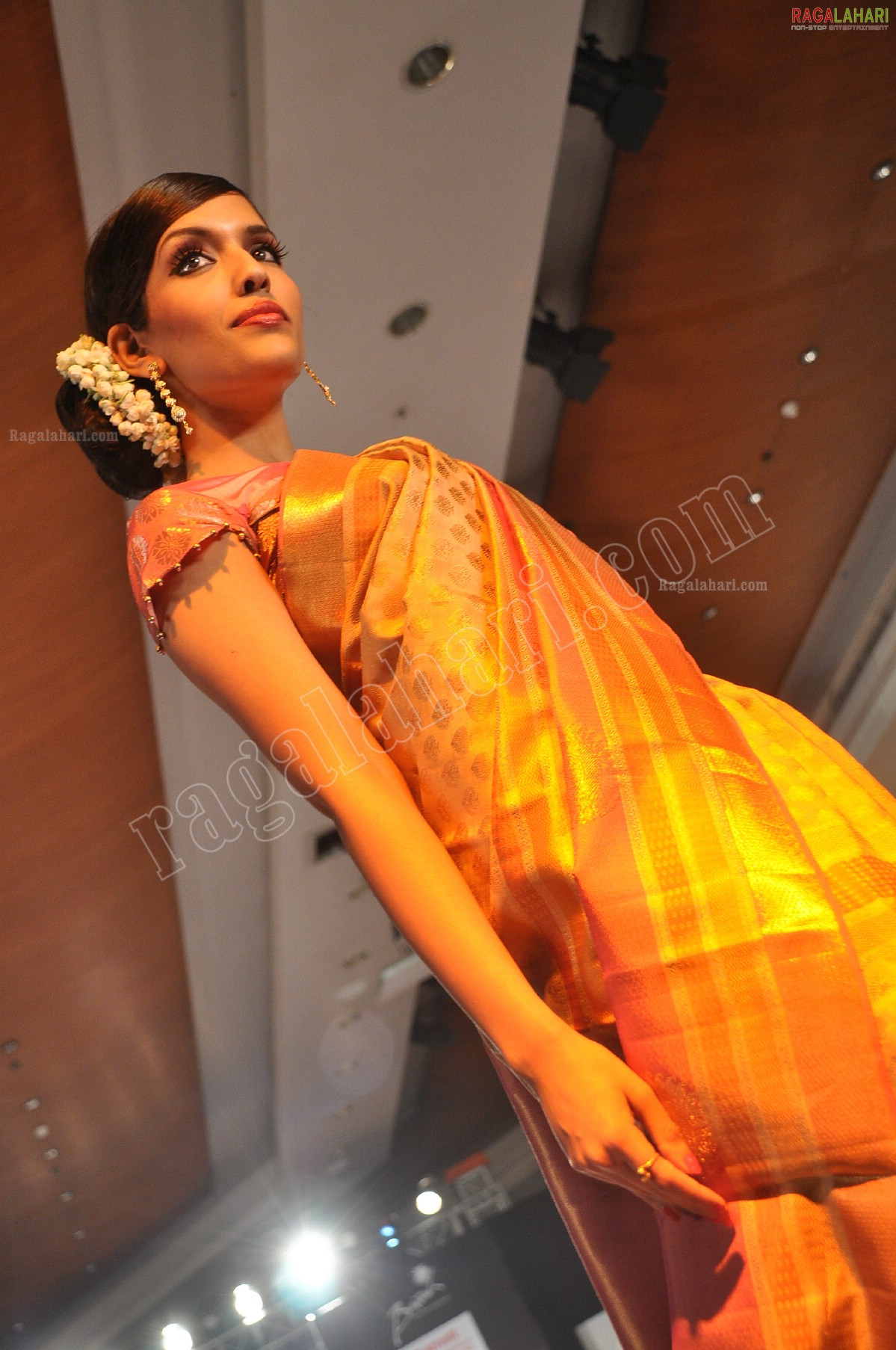 Hyderabad Fashion Week Pre - Fall' 2011 (Day 1)