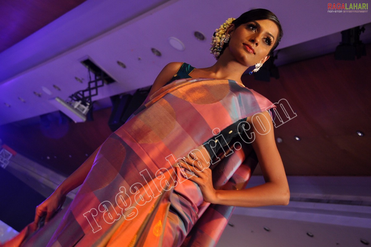 Hyderabad Fashion Week Pre - Fall' 2011 (Day 1)