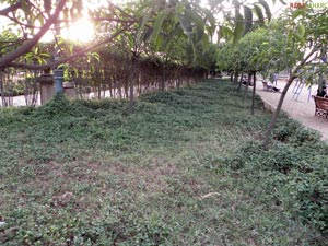 Krishnakanth Park, Hyderabad